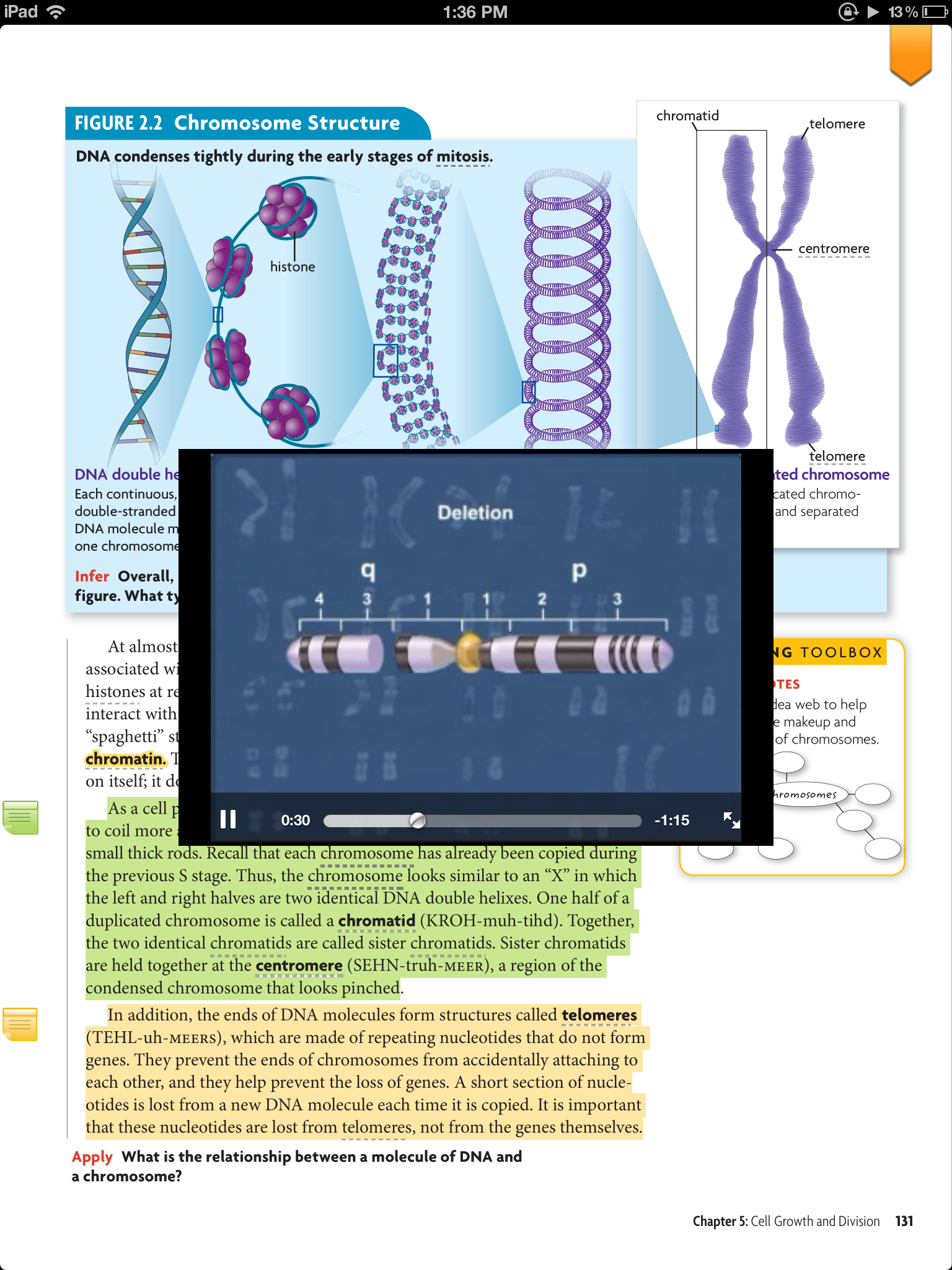 Services Marketing Textbook