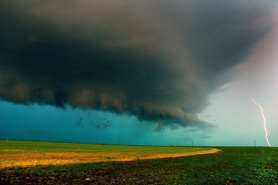 Shelf Cloud Tornado