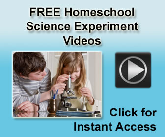 Simple Experiments For Kids At Home