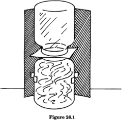 Simple Experiments For Kids On Air