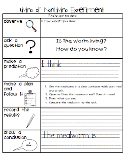 Simple Science Experiments For Kids Scientific Method