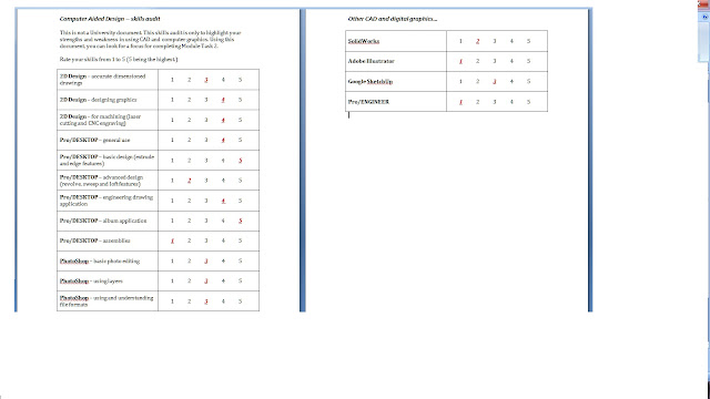 Skills Audit Template