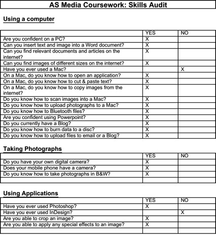 Skills Audit Template