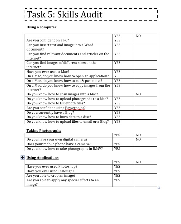 Skills Audit Template For Students