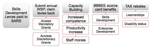 Skills Development Images