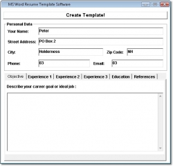 Skills Resume Template Microsoft Word