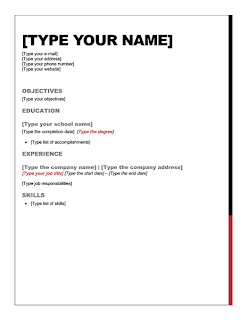 Skills Resume Template Word