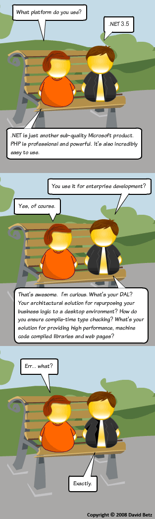 Software Architecture Cartoon