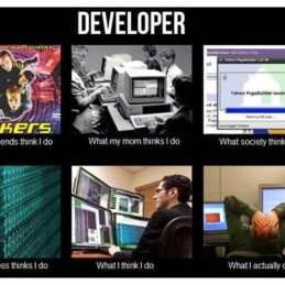 Software Developer Meme