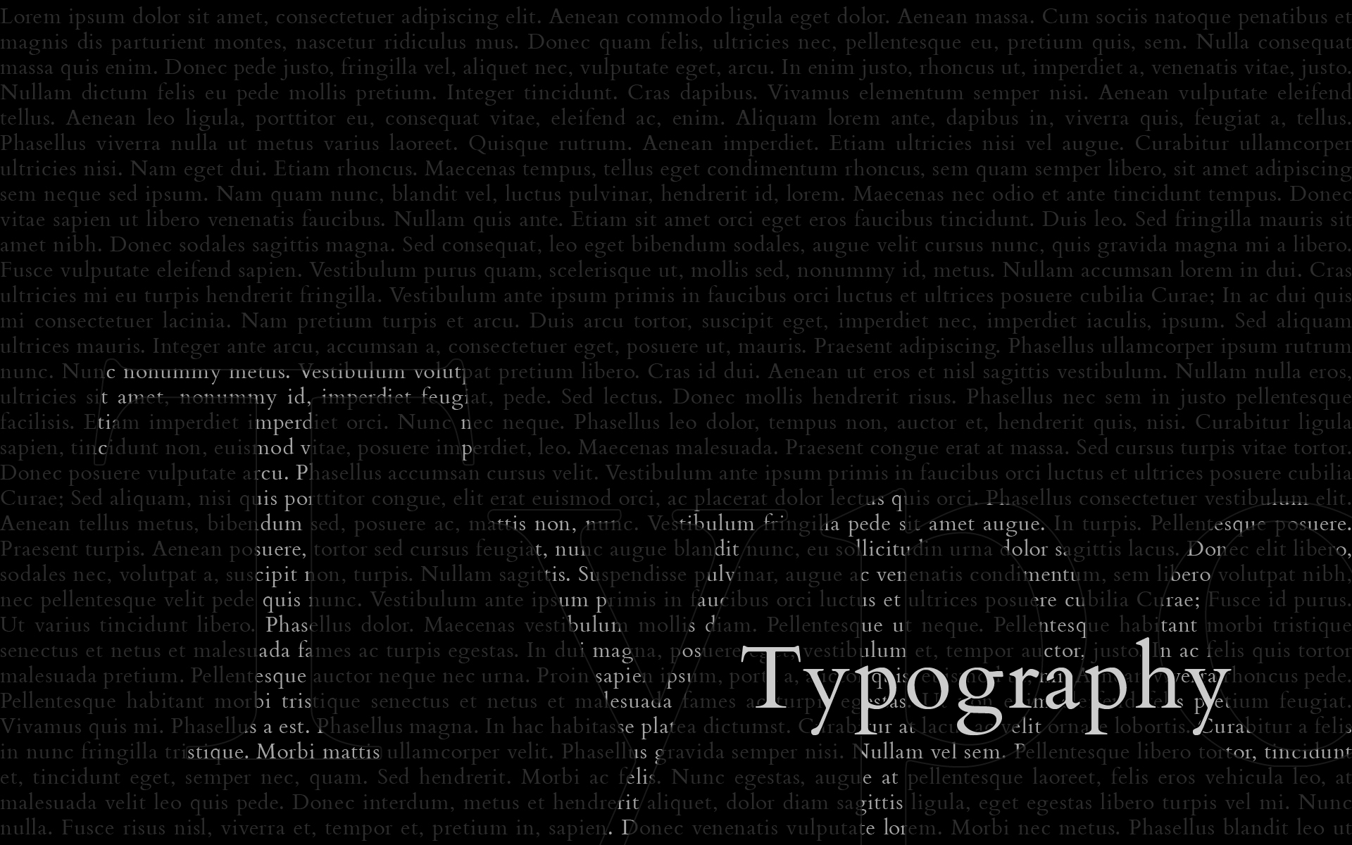 Software Developer Wallpaper