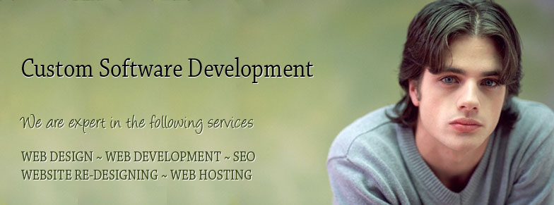 Software Development Company