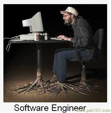 Software Engineer Funny Images