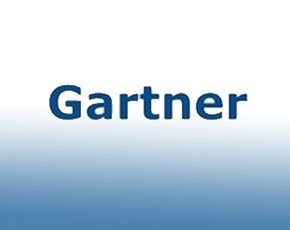 Software Pricing Models Gartner