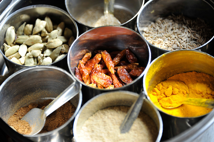 Spicy Indian Food Dishes