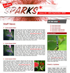 Staff Newsletter Examples