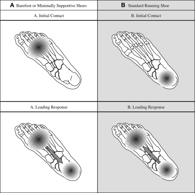 Standard Running Track Dimensions