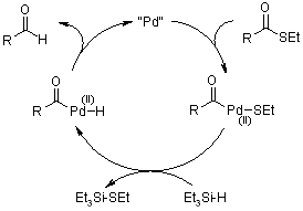 Steglich Esterification Mechanism