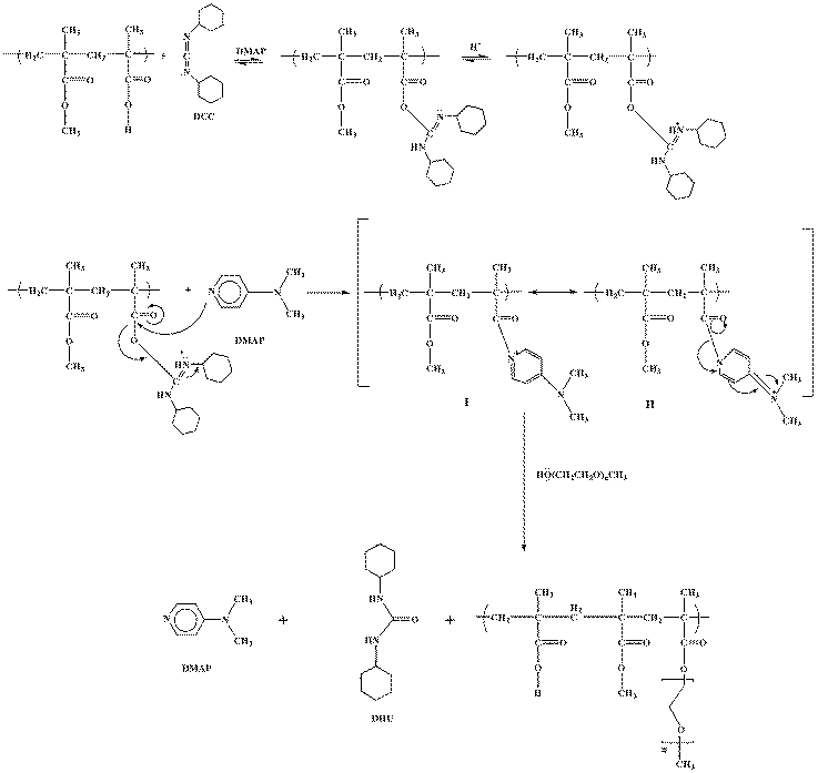 Steglich Esterification Mechanism