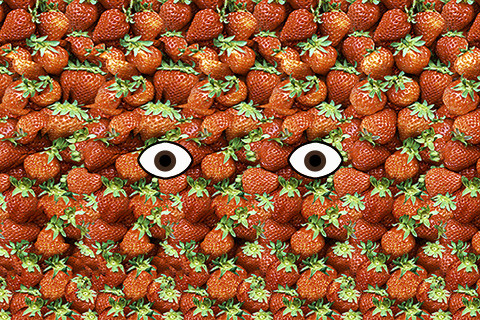 Stereograms For Kids