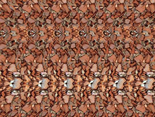 Stereograms Girl