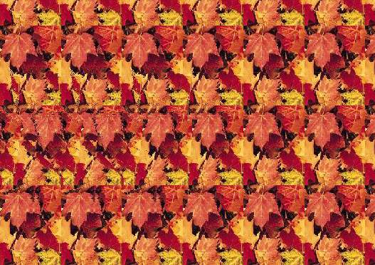 Stereograms How To