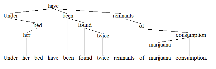 Subject Verb Agreement Examples