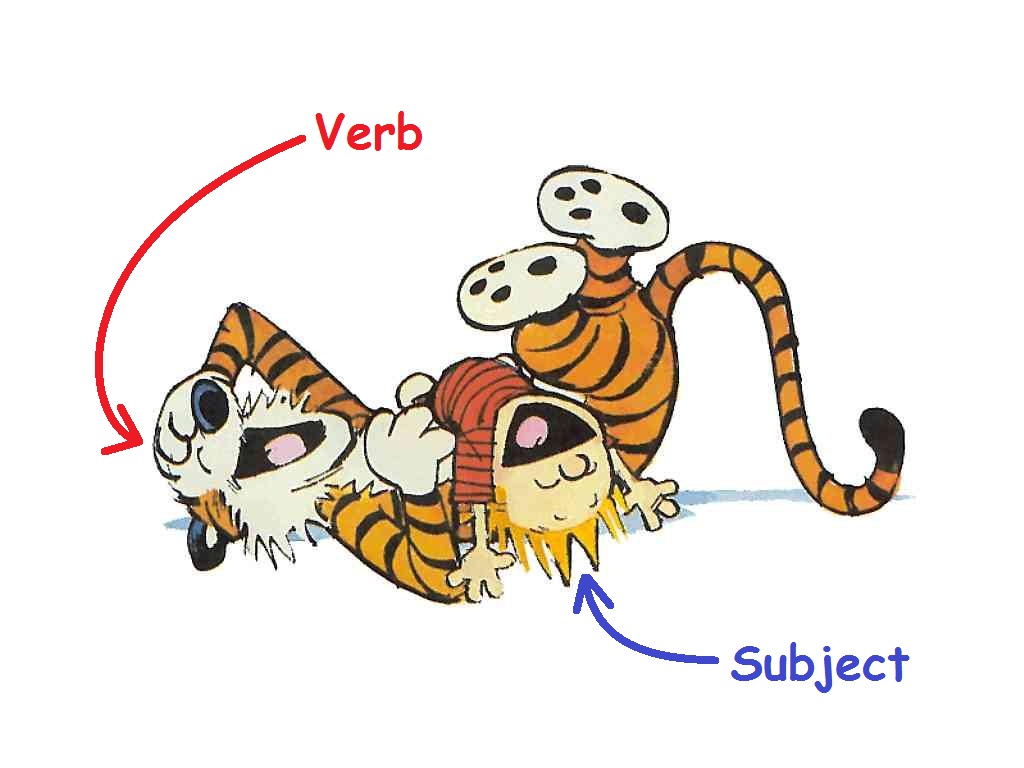 Subject Verb Agreement Examples