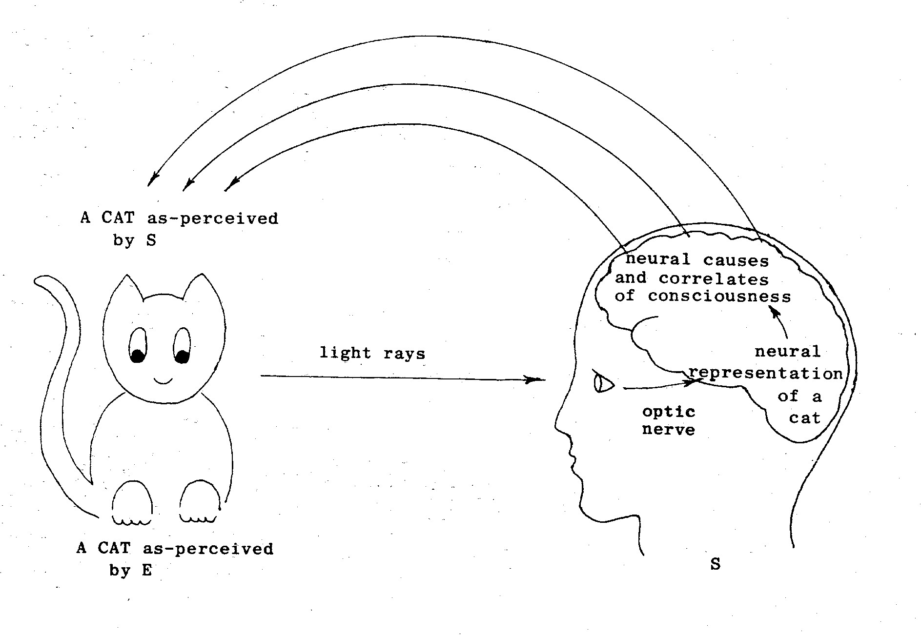 Subjective And Objective Data Definition