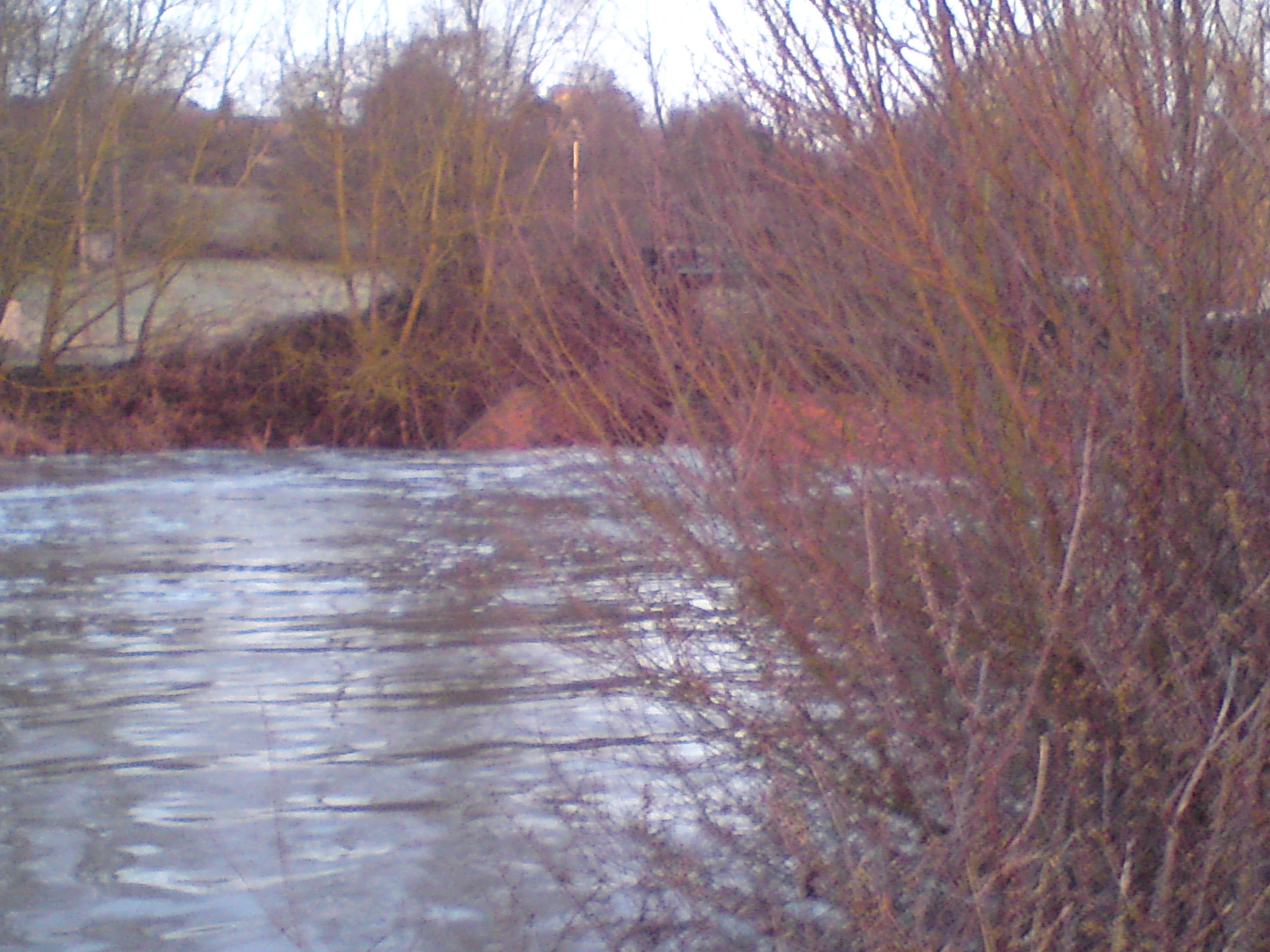 Swim Feeder Rigs On Stillwater