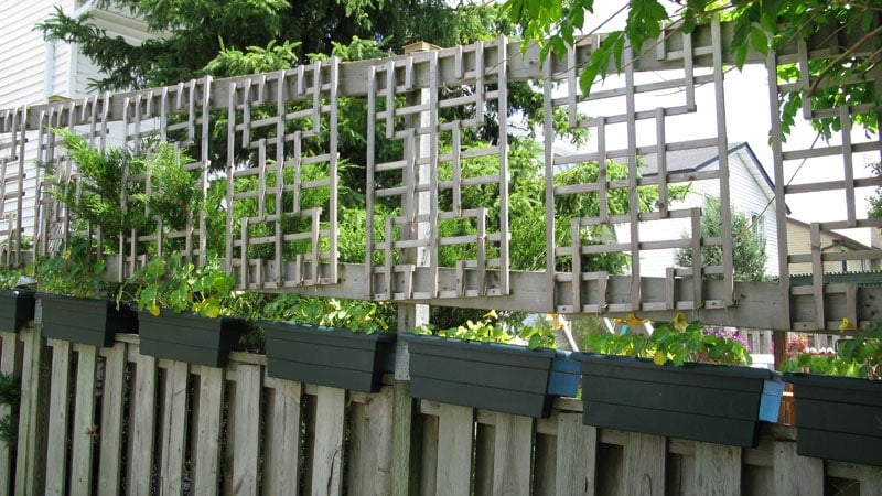 Tall Privacy Fence Ideas