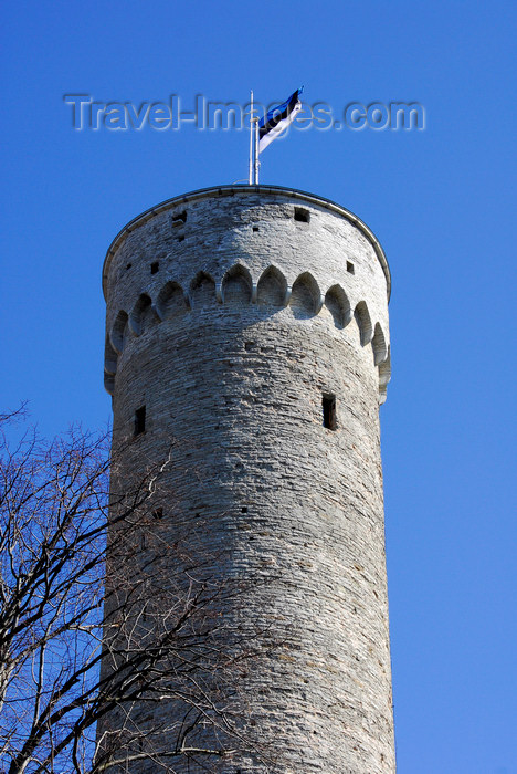 Tallinn Estonia Flag