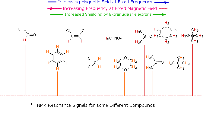 Terms Of Reference Example Report