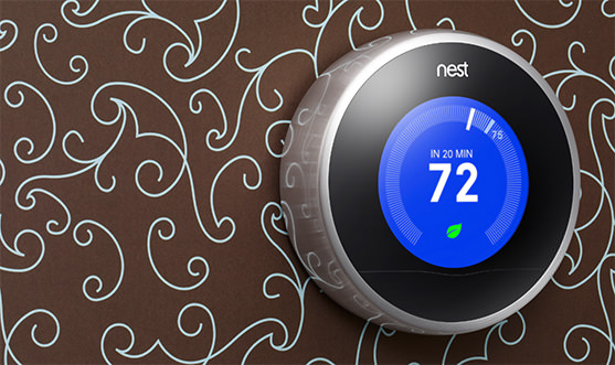 The Nest Thermostat Reviews