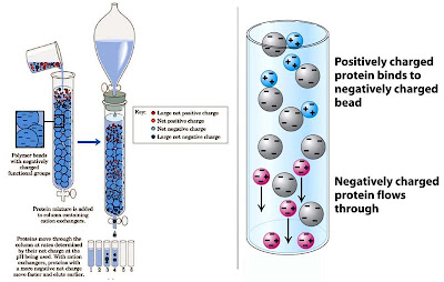 Types Of Adsorption Chromatography