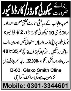 Un Jobs In Pakistan Driver