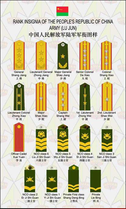 Us Army Ranks In Order