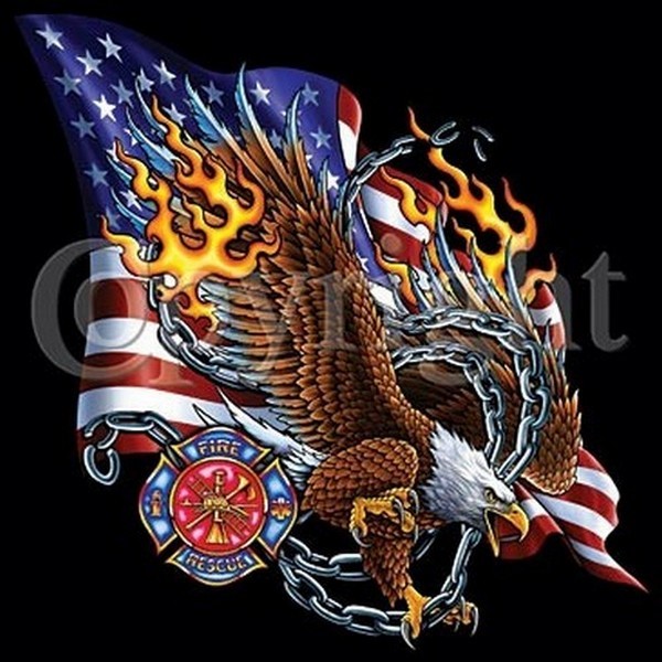 Us Flag Eagle Fire