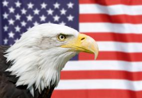 Us Flag Eagle Wallpaper