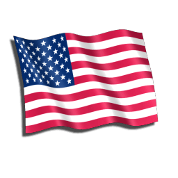 Us Flag Icon Vector