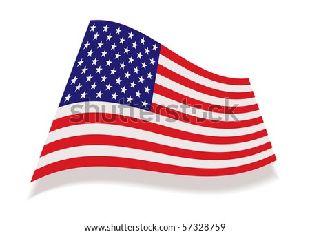 Us Flag Icon Vector