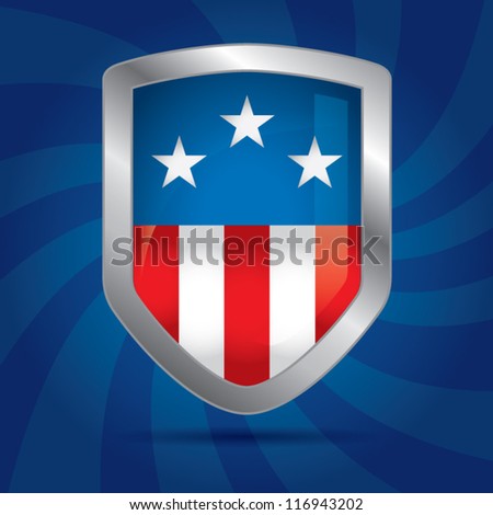 Us Flag Icon Vector