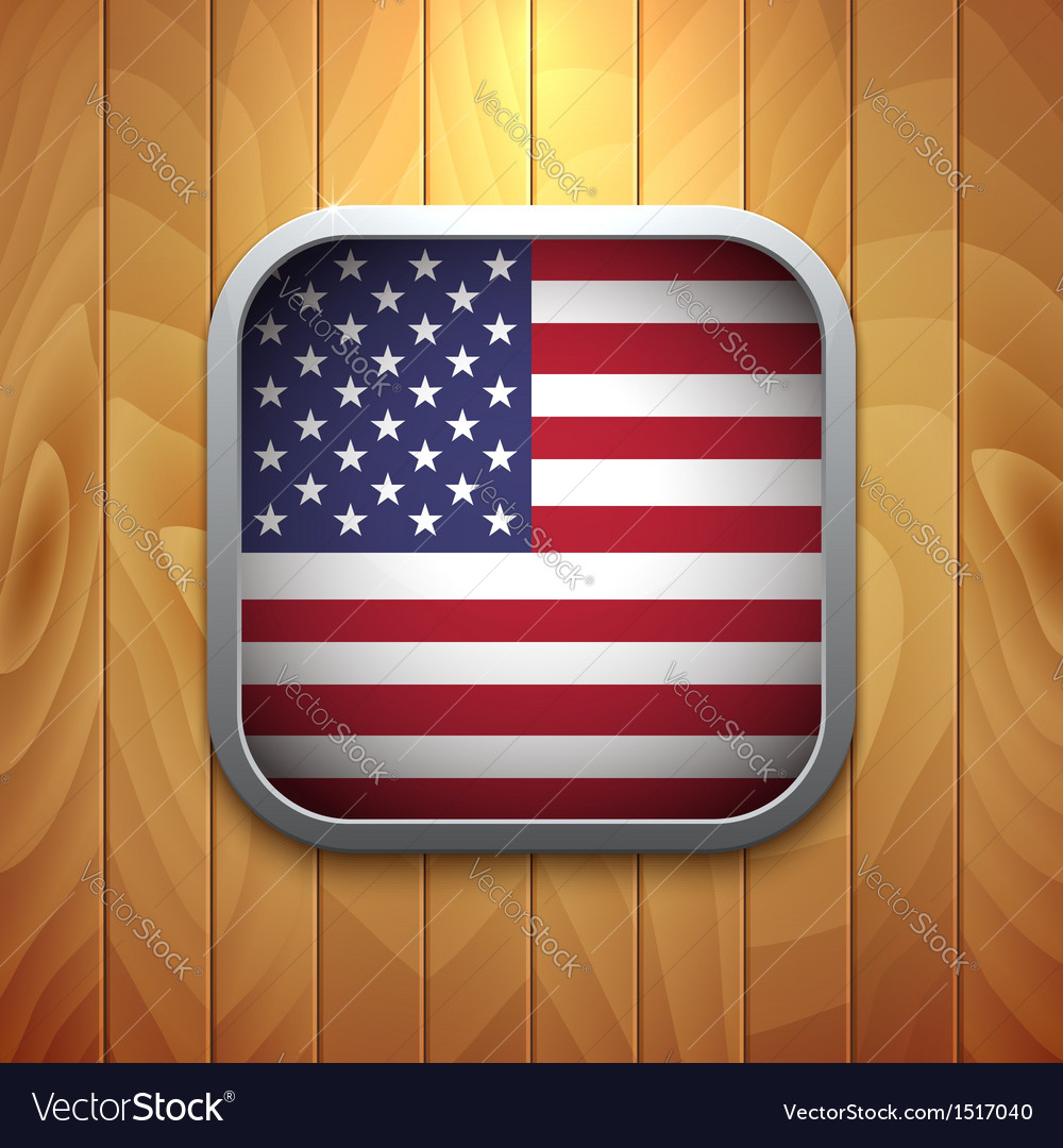 Us Flag Icon Vector