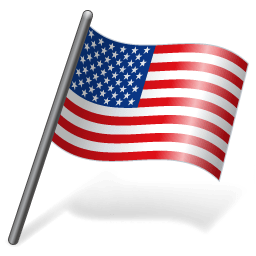 Us Flag Icon Vector