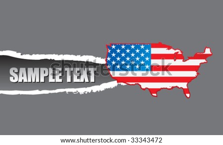 Us Flag Icon Vector