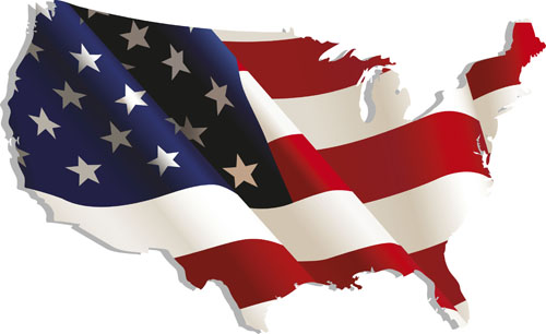 Us Flag Icon Vector