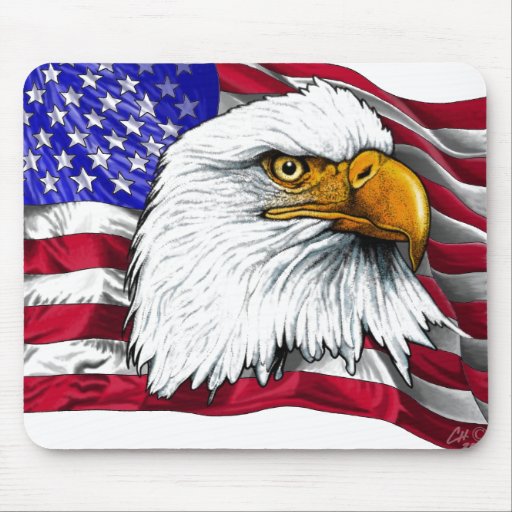 Usa Flag Eagle Drawing