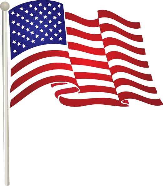 Usa Flag Icon Vector