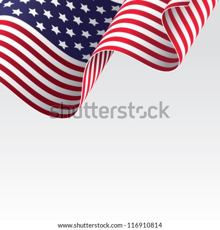 Usa Flag Vector