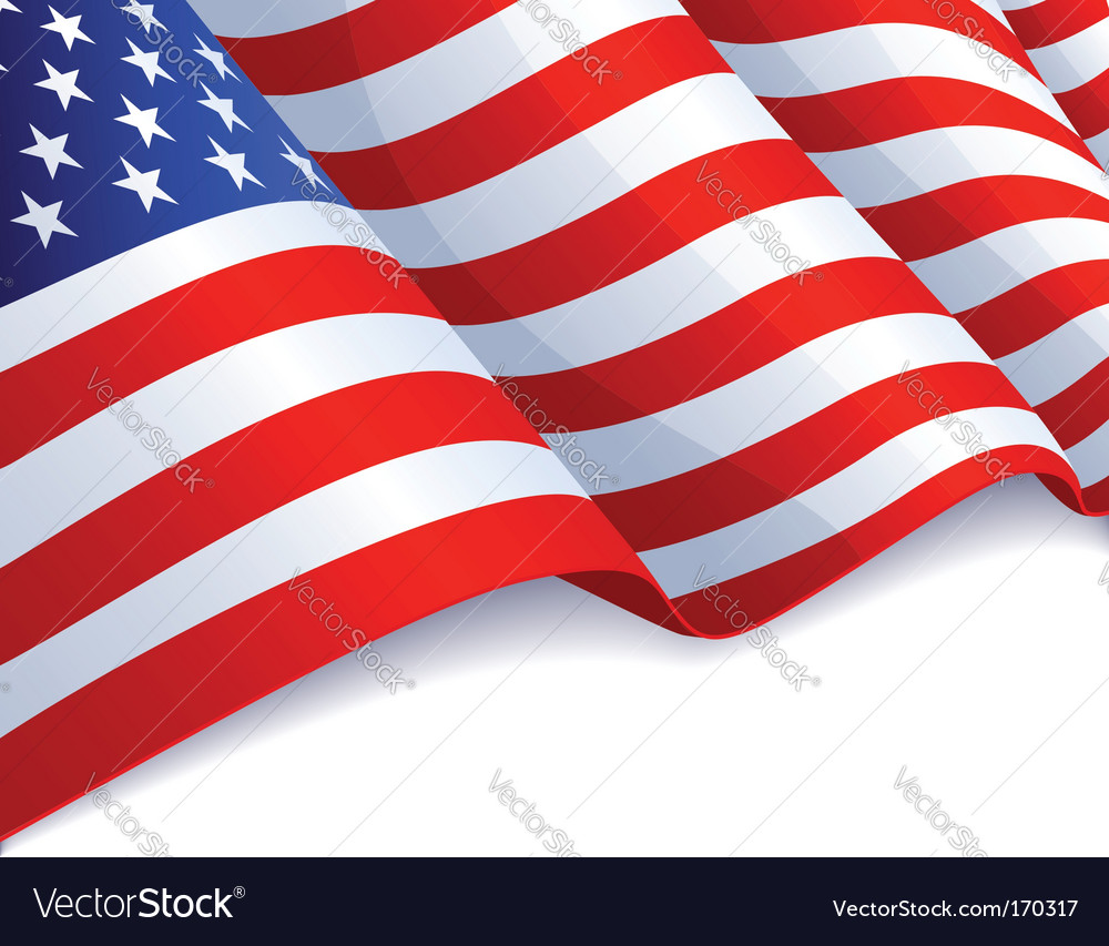 Usa Flag Vector