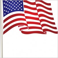 Usa Flag Vector